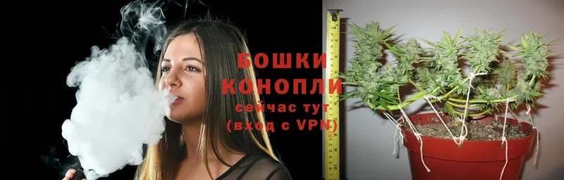 закладки  Тавда  Каннабис White Widow 